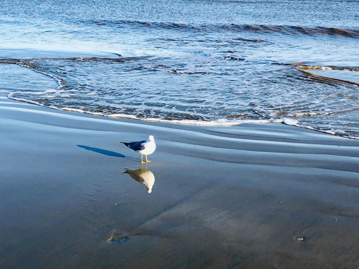 St. Simons IslandSalty Breeze At Demere Landing Unit 168 - Salt Air Dr别墅 外观 照片